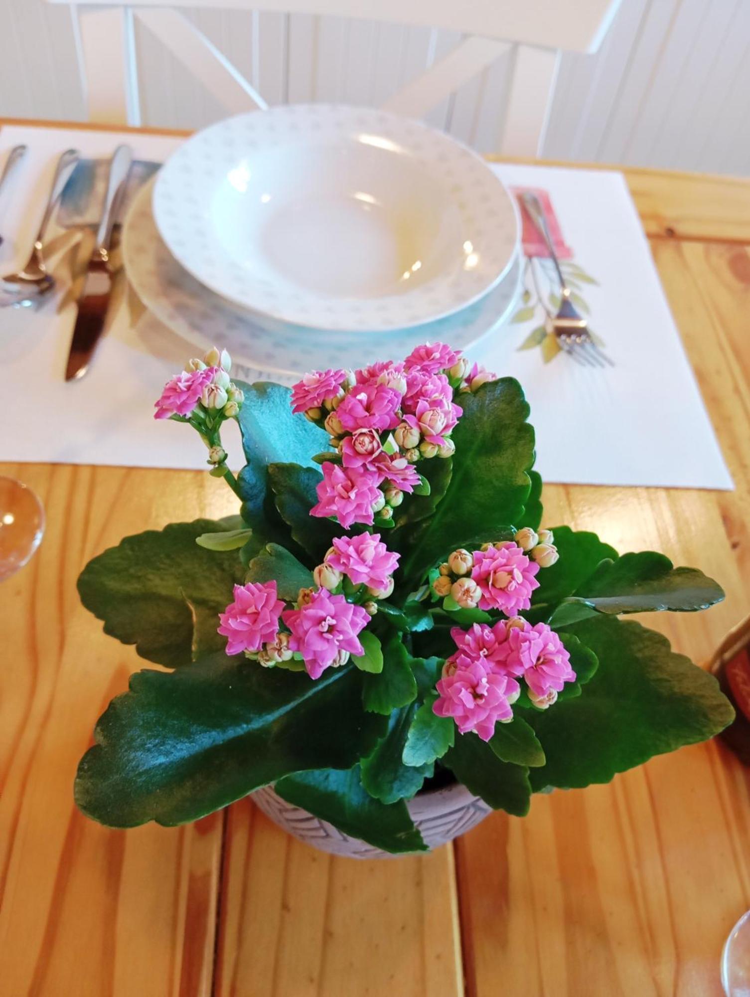 레이노사 La Regalia De Requejo 빌라 외부 사진